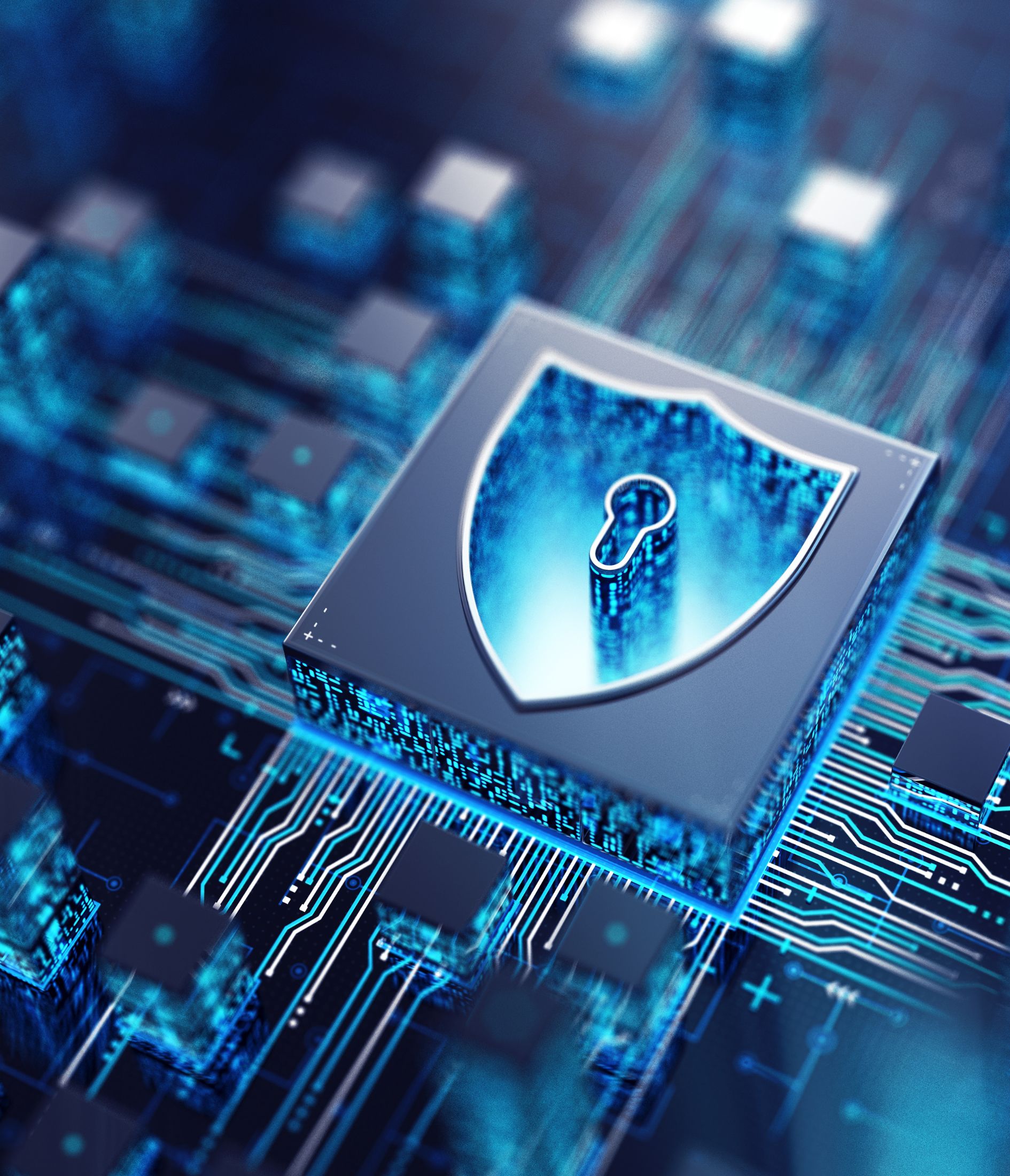 Sin título (1890 x 2200 px) (1)